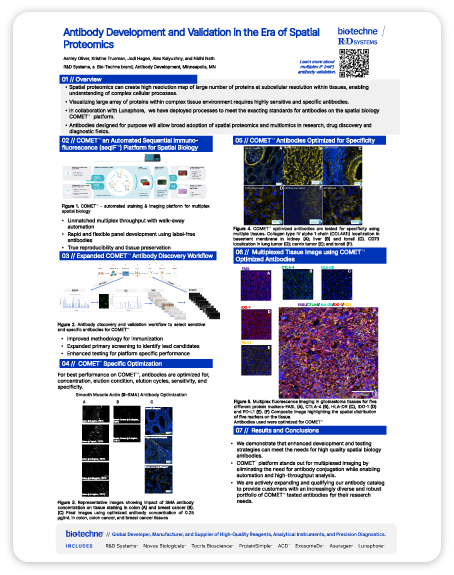 AbVal Poster Image